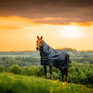 Horseware Amigo Ripstop 900D Plus Pony Turnout 200g