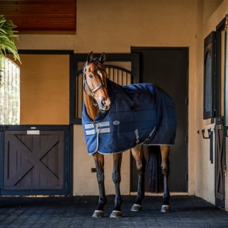 Horseware Rhino Stable 100g