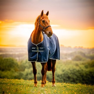 Horseware Amigo Ripstop 900D Turnout 200g