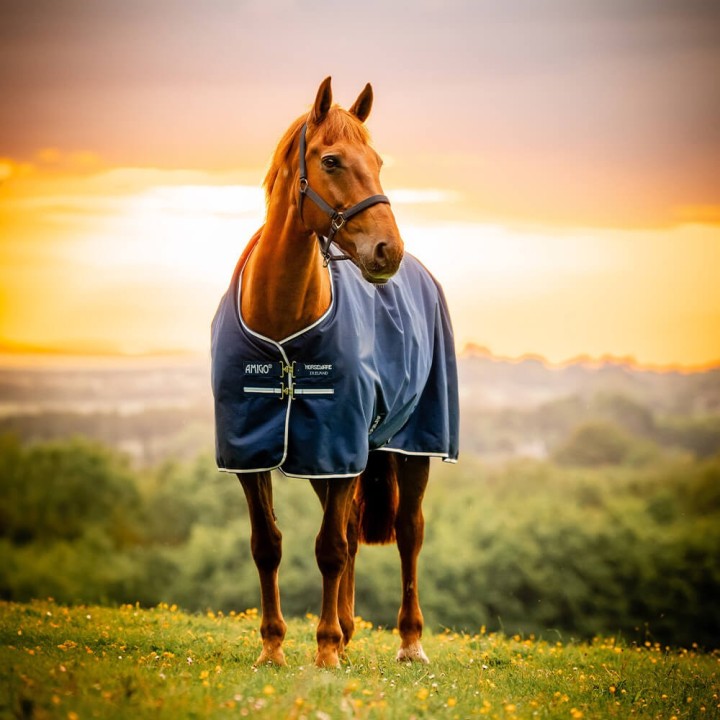 Horseware Amigo Ripstop 900D Turnout 200g