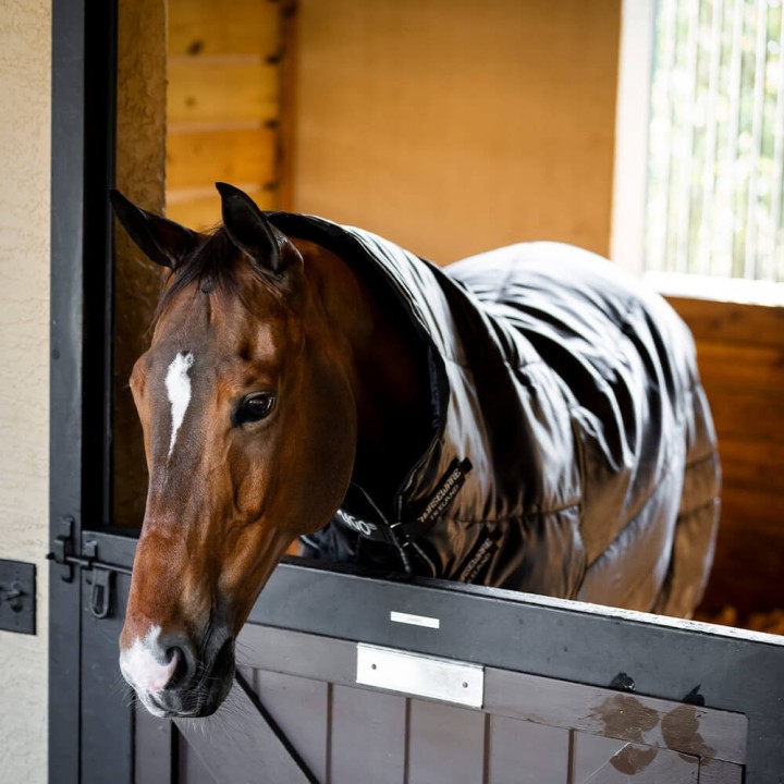 Horseware Amigo Ripstop Insulator Plus Stable 350g