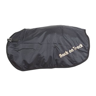 Back on Track Nierendecke