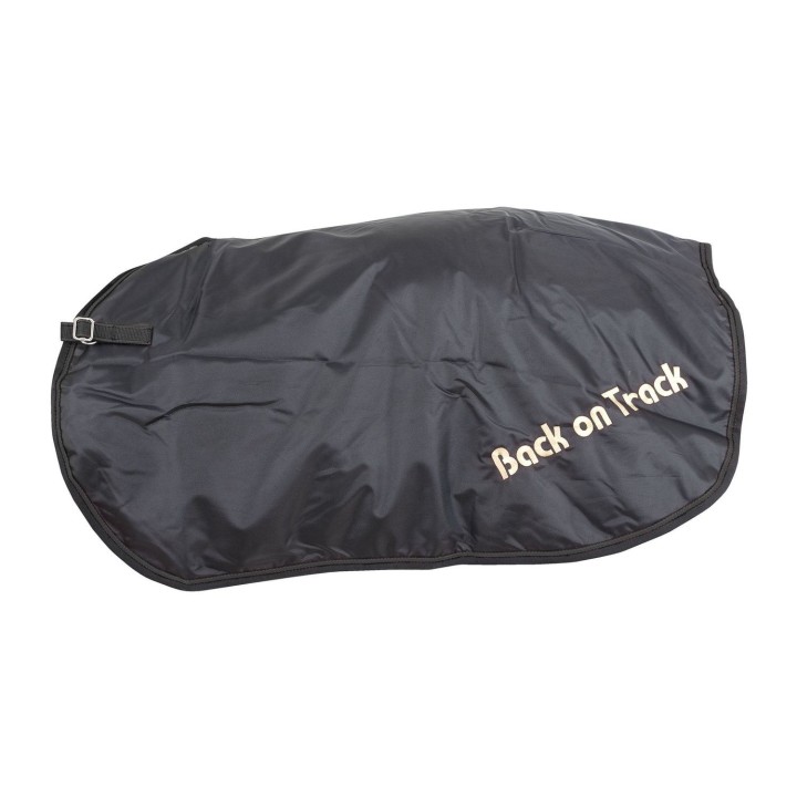 Back on Track Nierendecke