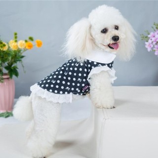 Sommer Haustier Kleidung Hund Dot Kleidung Weibliche Hunde Baumwolle Prinzessin Kleid Teddy Hund Kleid Sommer Kleid Hund Klei