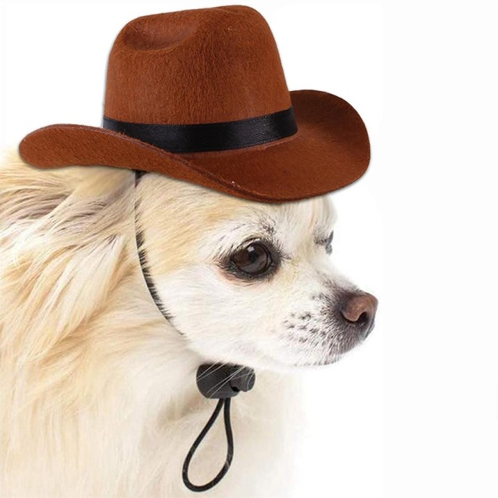 Hundehut mit Stern-Cowboyhut, Haustierbedarf, verstellbares Hundekostüm, Zylinder, Kopfbedeckung, Haustierhut, Hundemütze, Ha