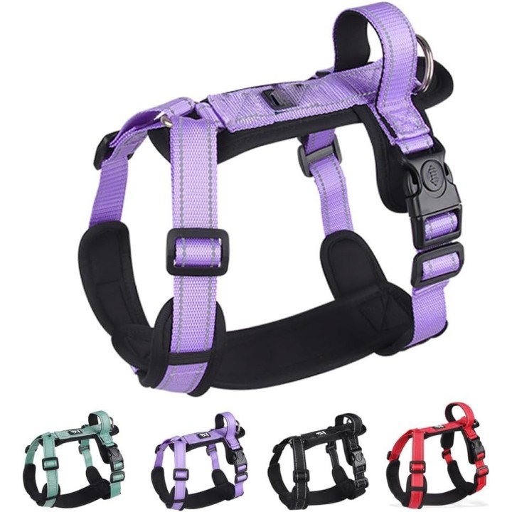 Y-förmiges Hundegeschirr mit verstellbarem, strapazierfähigem Nylon, weicher Polsterung, Metallschnallen und Ledergriff für k