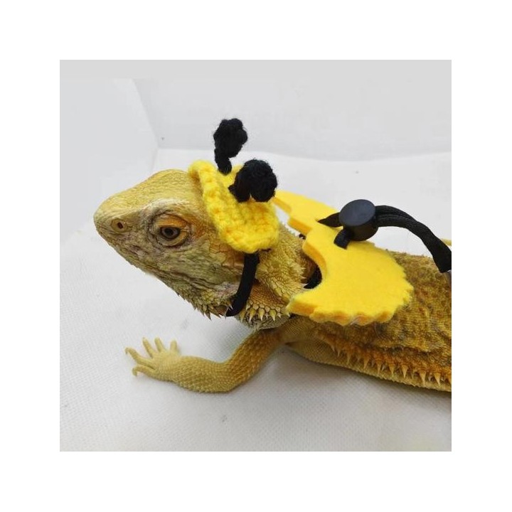 Verstellbare Reptilienleine für Eidechsen, Geckos und Bartagame, weiches Geschirr und Leine mit beweglicher Schnalle, Chamäle