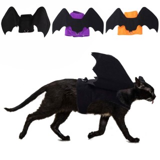 Haustier Halloween Brust Rücken Hundekostüme Lustige Kostüme Katze L violett