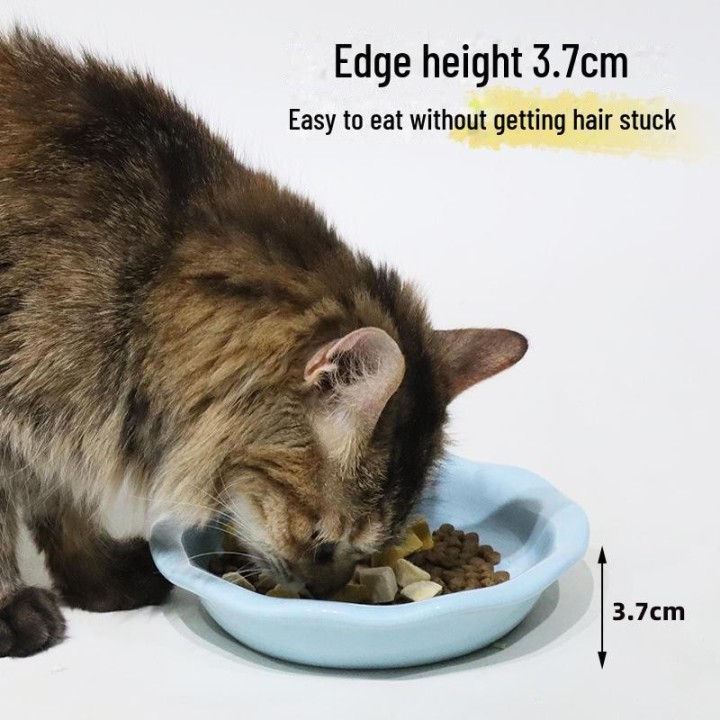 Großer Katzennapf aus Keramik – Anti-Schwarzkinn, rutschfest, für Futter und Wasser Bath Otter cat bowl