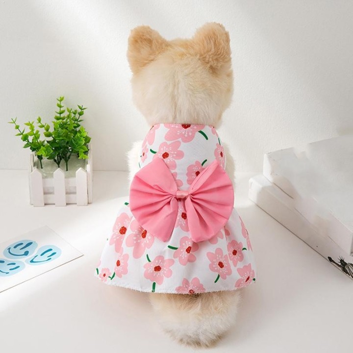 Frühling Sommer Herbst Hund Prinzessin Kleid Kätzchen Haustier Rock süße Hund Kleid Schleife Spitze kleine mittlere Welpen Pu