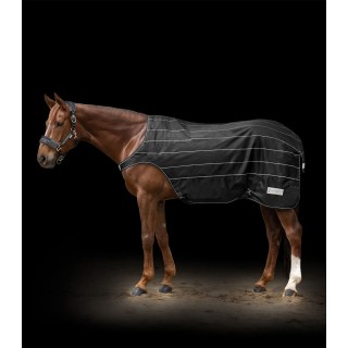 Waldhausen Reflex Führmaschinendecke