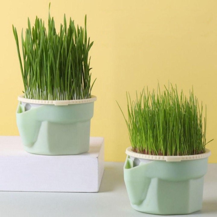 Mehrschichtiger Katzengras-Becher, herausnehmbares Katzengras-Keimtablett, Katzensnacks grün