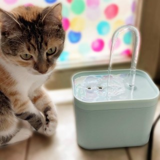 Haustierzubehör USB Elektrischer Katzentrinkbrunnen mit automatischem Filter für Katzen Haustierwasser 1,5 l Spender Umwälzfi