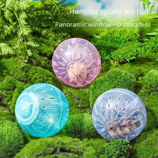 Leises Sport-Laufrad und Ball für Hamster – Outdoor-Fitness-Rollspielzeug. Regular Edition