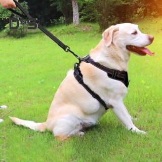 1,2 Zoll breite, kurze Hundeleine, robuste, reflektierende Hundetrainings-Verkehrsleine mit Karabinerhaken für mittelgroße un