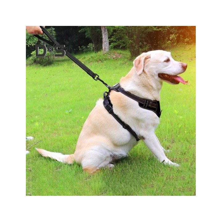 1,2 Zoll breite, kurze Hundeleine, robuste, reflektierende Hundetrainings-Verkehrsleine mit Karabinerhaken für mittelgroße un