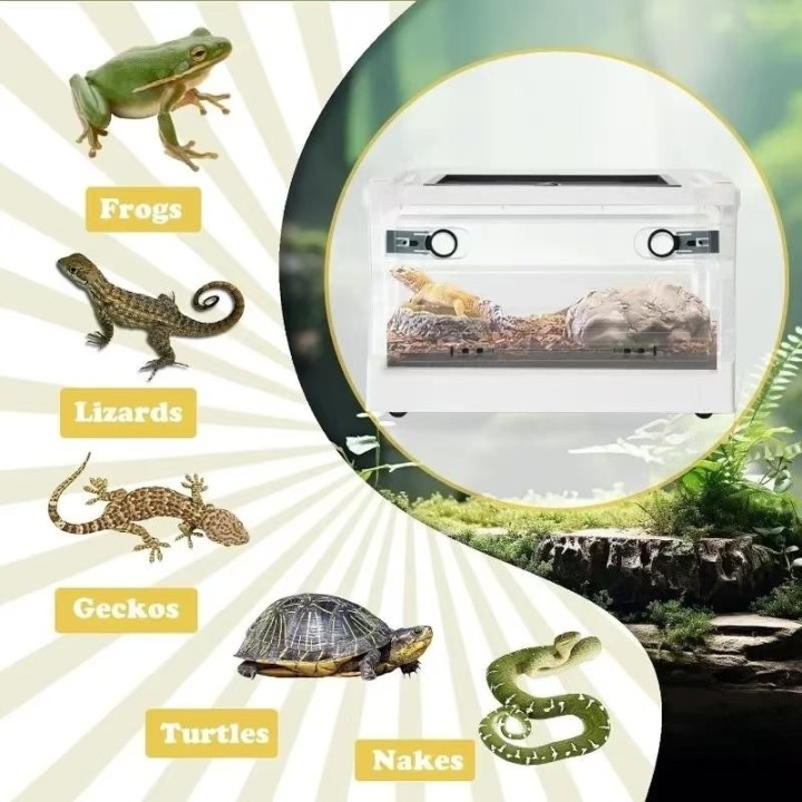 Kunststoff-Futterbox für Reptilien, tragbarer Transportbehälter, Reptilien-Zuchtgehege, Käfige, transparente Amphibien-Lebens