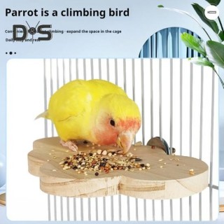 Vogelständer für Haustiere, natürliches Holz, Blumenwolkenform, Vogelsitzstangen-Plattformständer, einfach zu installieren, V