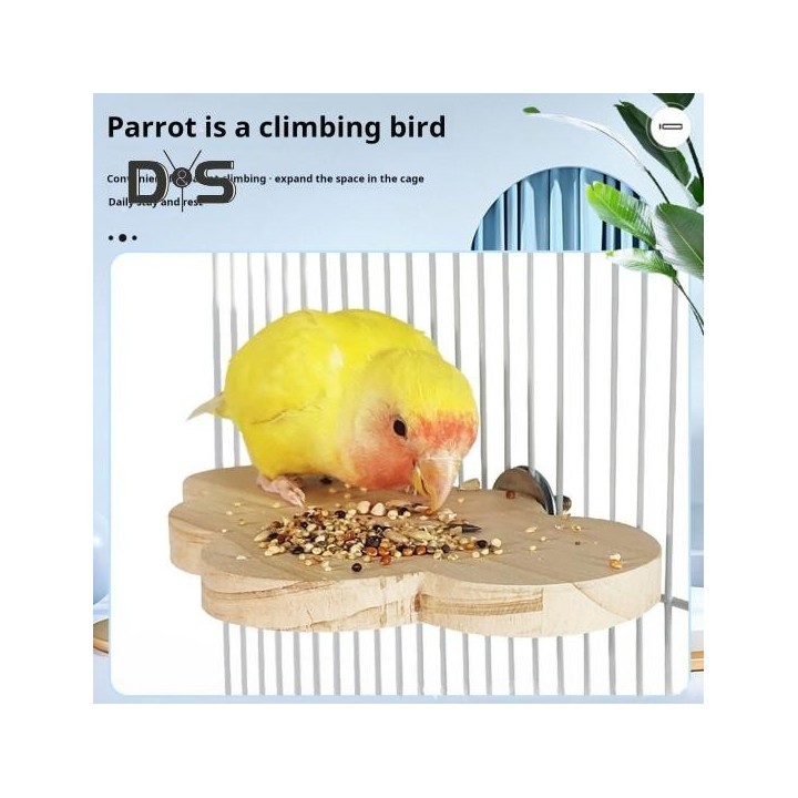 Vogelständer für Haustiere, natürliches Holz, Blumenwolkenform, Vogelsitzstangen-Plattformständer, einfach zu installieren, V