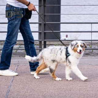 Robuste Hundeleine mit weich gepolstertem Griff, reflektierendes Nylon-Zugseil für Haustiere, um 360 Grad drehbare Leine für