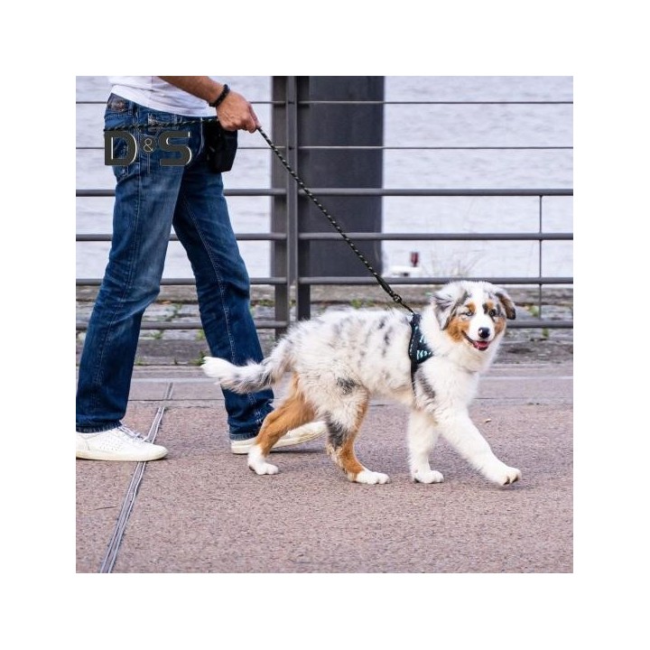 Robuste Hundeleine mit weich gepolstertem Griff, reflektierendes Nylon-Zugseil für Haustiere, um 360 Grad drehbare Leine für