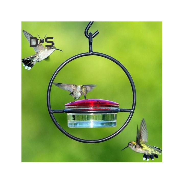 Kreisförmiger hängender Kolibri-Futterspender mit Metallring, Vogelfutterspender, ameisen- und bienensicher, Kolibris, Nektar