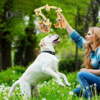 Hundeseilspielzeug für aggressive Kauer, robustes Kauspielzeug mit 5 Baumwollknoten, natürliches Baumwollseilspielzeug, Hunde