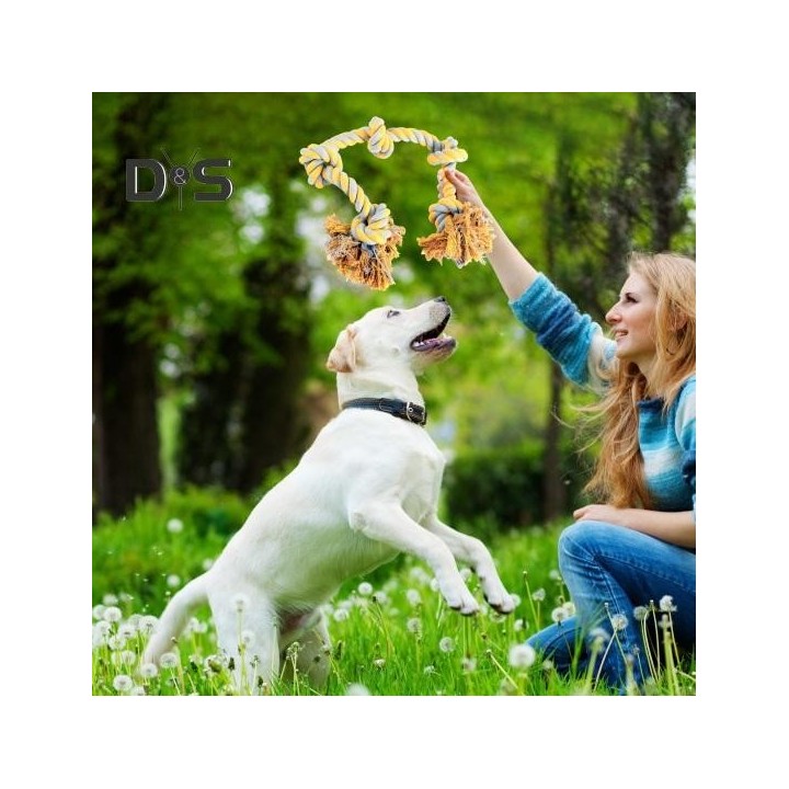 Hundeseilspielzeug für aggressive Kauer, robustes Kauspielzeug mit 5 Baumwollknoten, natürliches Baumwollseilspielzeug, Hunde