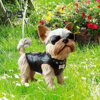 Hunde-Gartenstecker, Welpe in Weste, Sonnenbrille, Outdoor-Dekoration, Stecker, Hofkunst, Hundeschild, Dekoration für Terrass