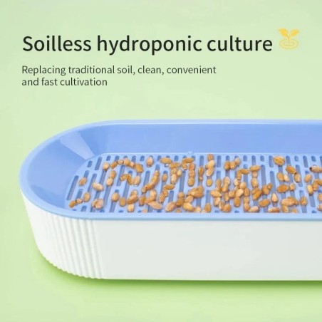 Hydroponische Katzengrasbox, Katzenleckerli, Katzenminze, hydroponisches, erdloses Pflanzset für Katzengras, Topfset für einf