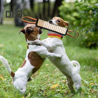 Zerrspielzeug für Hunde, robustes Beißkissen aus Jute, Trainingsgerät, Leinen, interaktives Zerrspielzeug, Belohnungs- und Üb