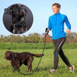 Reflektierendes Hundehalsband und Leinen-Set, 1,5 m langes Zugseil, Nylon-Haustierhalsband mit weicher Neopren-Polsterung für