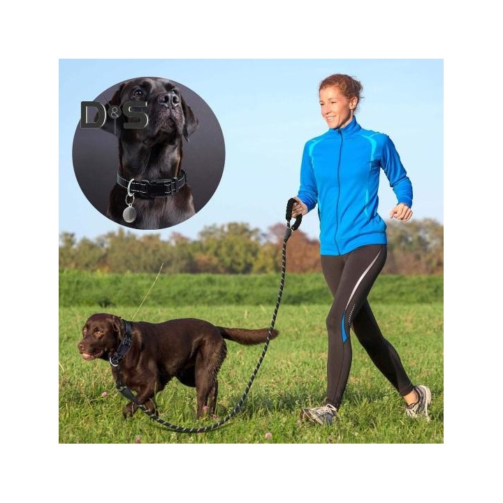 Reflektierendes Hundehalsband und Leinen-Set, 1,5 m langes Zugseil, Nylon-Haustierhalsband mit weicher Neopren-Polsterung für