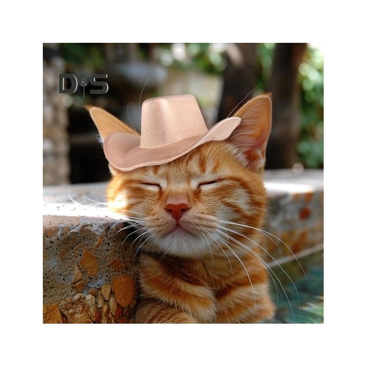 Haustier-Cowboyhut für kleine Hunde und Katzen, Cosplay-Kappe, Strand-Visierhut, Welpenkostüm, Party im Freien, Zubehör, Foto