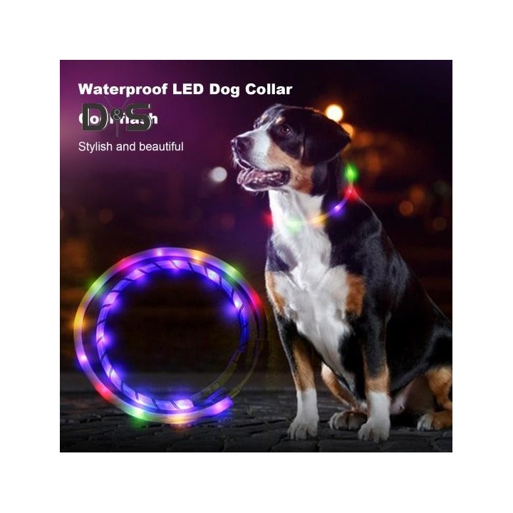 LED-Hundehalsband, wiederaufladbar über USB, wasserdicht, leuchtendes Haustierhalsband für Spaziergänge bei Nacht, Sicherheit