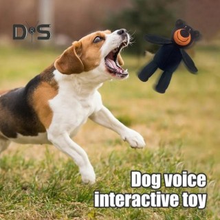 1/2 Stück unzerstörbares Bären-Hundespielzeug, interaktives quietschendes Plüschbären-Spielzeug, Welpen, unzerbrechliches Kau