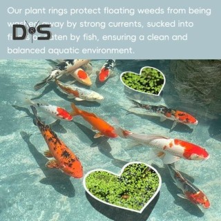 5 Stück Fischfütterungsringe Herzform Schwimmender Pflanzenzaun Aquarium Wasserlinsenschutz Fischtank Futterring Betta Zubehö
