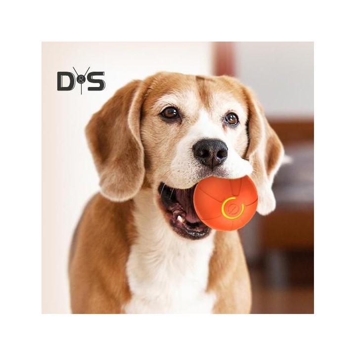 Selbstrollendes Ballspielzeug für Hunde und Katzen, kaufestes, interaktives Ballspielzeug, bewegungsaktivierter, wiederauflad