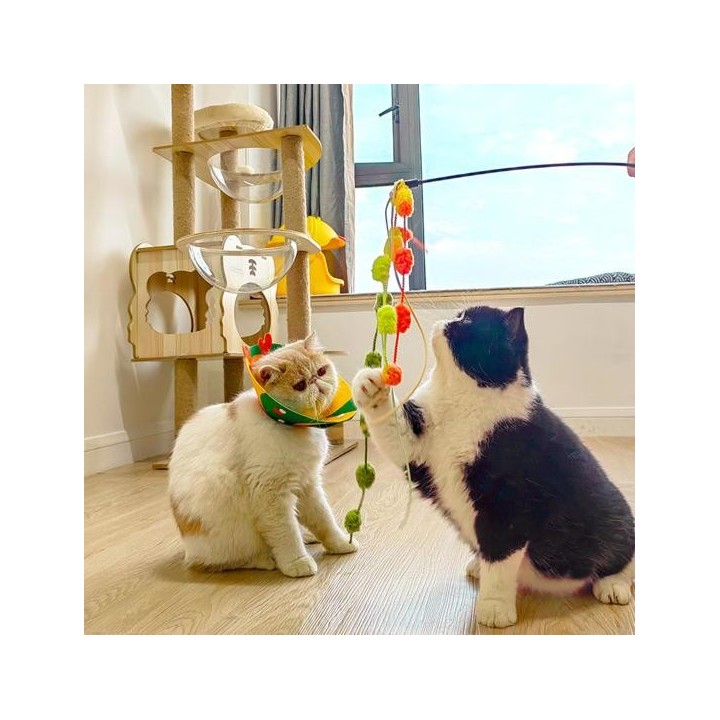 Crisp Bell Katzenspielzeug, Katzenangel, fusselfrei, kreatives Unterhaltungsspielzeug orange