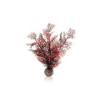 biOrb Hornkoralle dunkelrot S