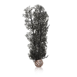 biOrb Hornkoralle schwarz M