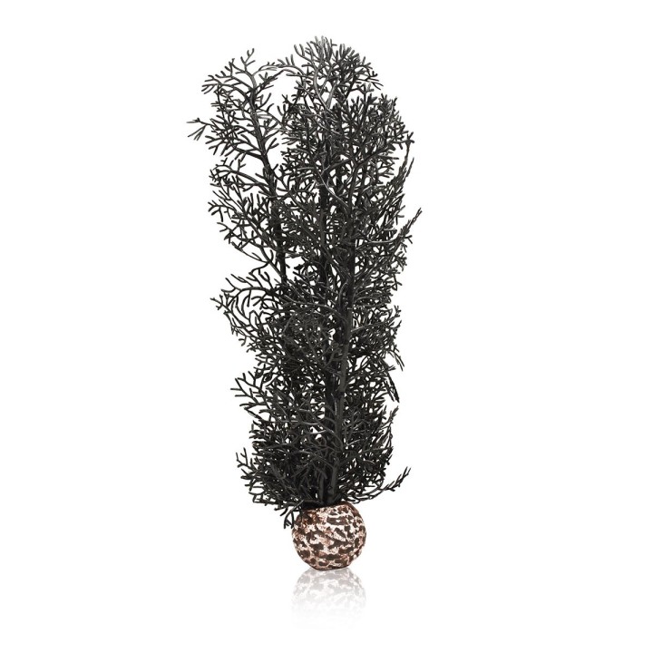 biOrb Hornkoralle schwarz M