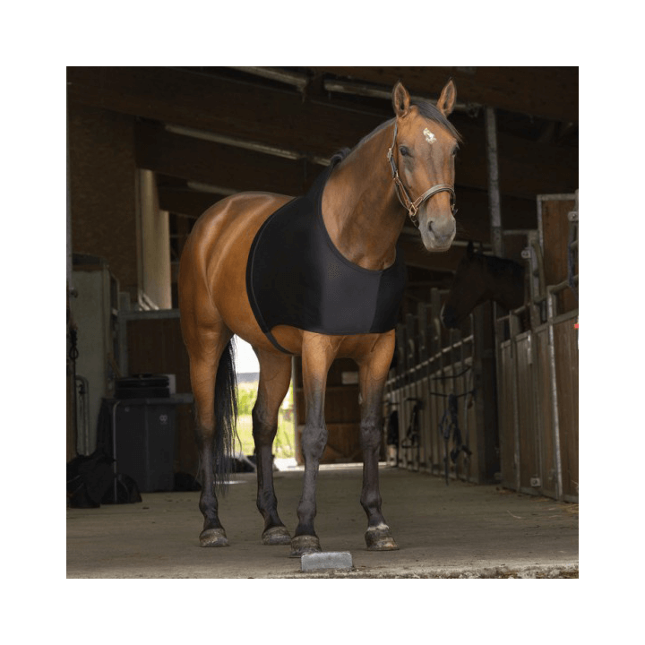 Equithème Schulterschutz
