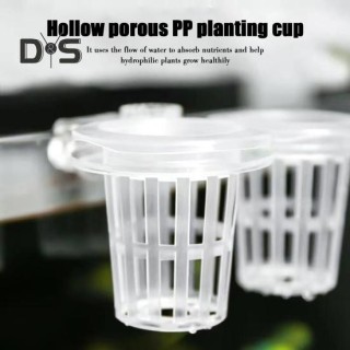 Aquarium Pflanzenhalter Wandmontage Hydroponischer Pflanzenkorb Wassergras Pflanzständer Aquarium Pflanzgefäß Aquarium Zubehö