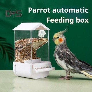 Transparentes Vogelhäuschen, großes Fassungsvermögen, einfache Installation, einfache Überwachung, durchsichtiges Kolibri-Sit