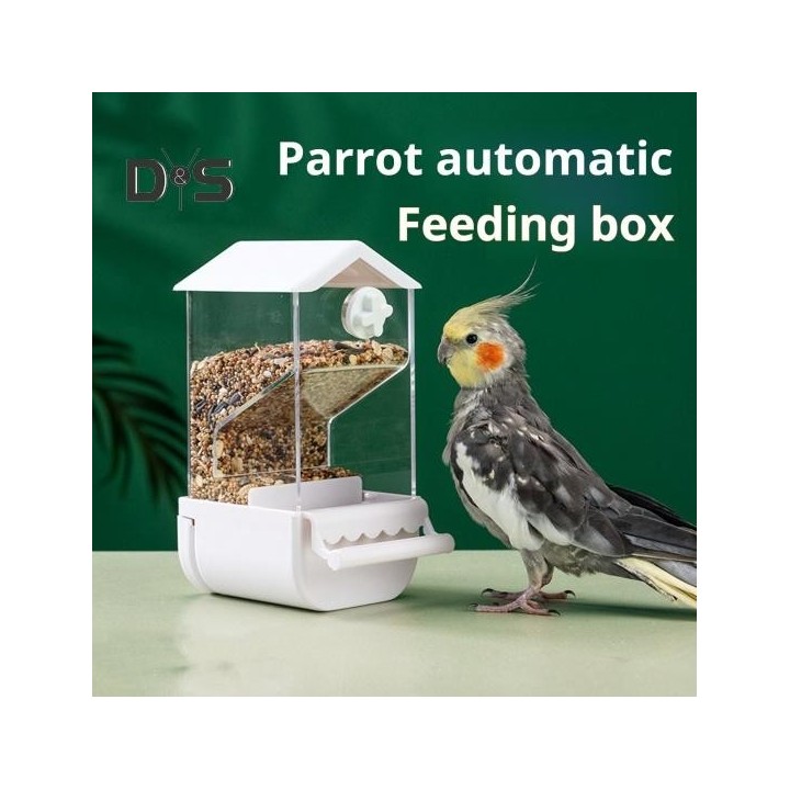 Transparentes Vogelhäuschen, großes Fassungsvermögen, einfache Installation, einfache Überwachung, durchsichtiges Kolibri-Sit