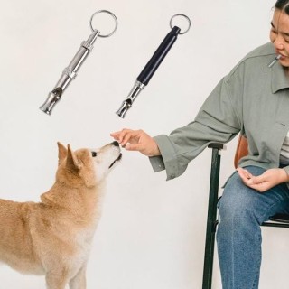 Polierte Hundetrainingspfeife, lauter, klarer Klang, leichte Sportpfeife schwarz