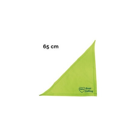 Schecker - Besticktes Halstuch, Unser Liebling mit Herz + Name [65cm - Kiwi]