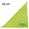 Schecker - Besticktes Halstuch, Unser Liebling mit Herz + Name [65cm - Kiwi]