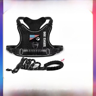 Explosionsgeschützte, stoßdämpfende Nachtsicht-Reflexweste für Hunde